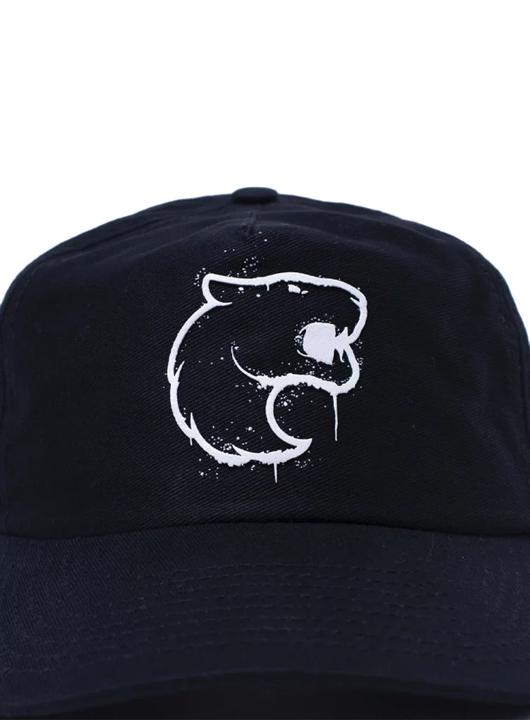 Furia Spray It Dad Hat Black - Image 3
